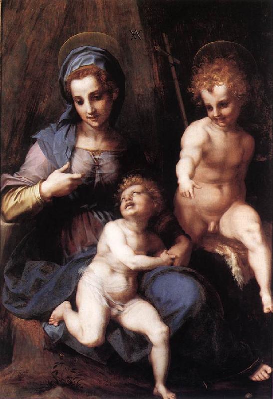 Andrea del Sarto Madonna and Child with the Young St John China oil painting art